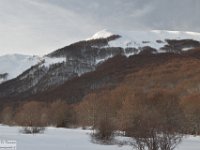 2018-02-05 Monte Corvo 031